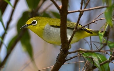 Index Of Wp Content Uploads 2017 08