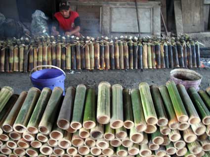 10 Cara Ternak Kroto Dengan Media Bambu Arenahewan Com