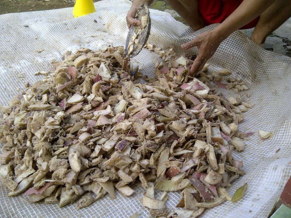 13 Cara Ternak Bebek Potong Cepat Panen - ArenaHewan.com