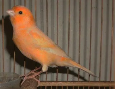 Index Of Wp Content Uploads 2019 02