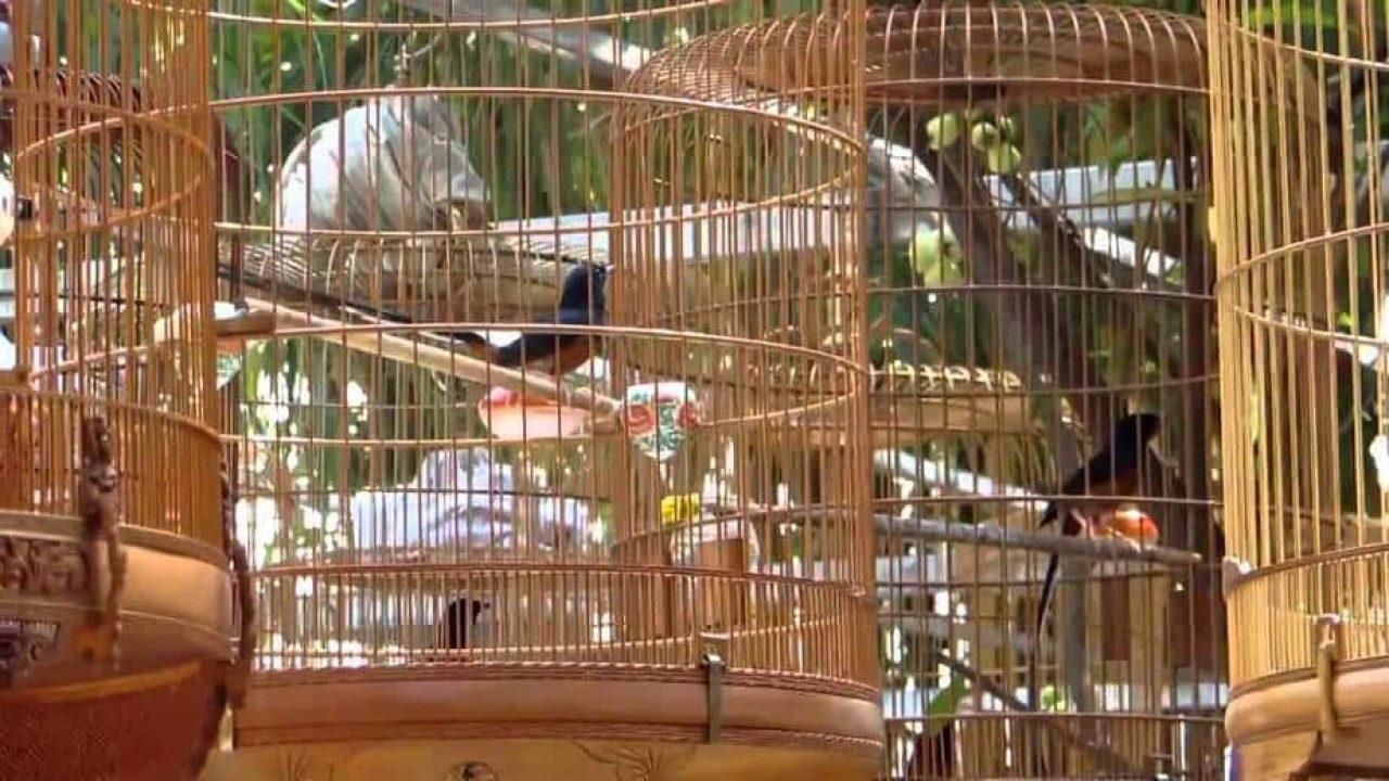 Index Of Wp Content Uploads 2019 02