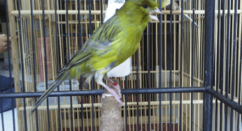 Index Of Wp Content Uploads 2019 07