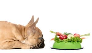 7 Jenis Sayuran yang Berbahaya untuk Anjing