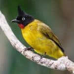 Index Of Wp Content Uploads 2019 12