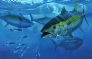 10 Hewan Tercepat di Laut